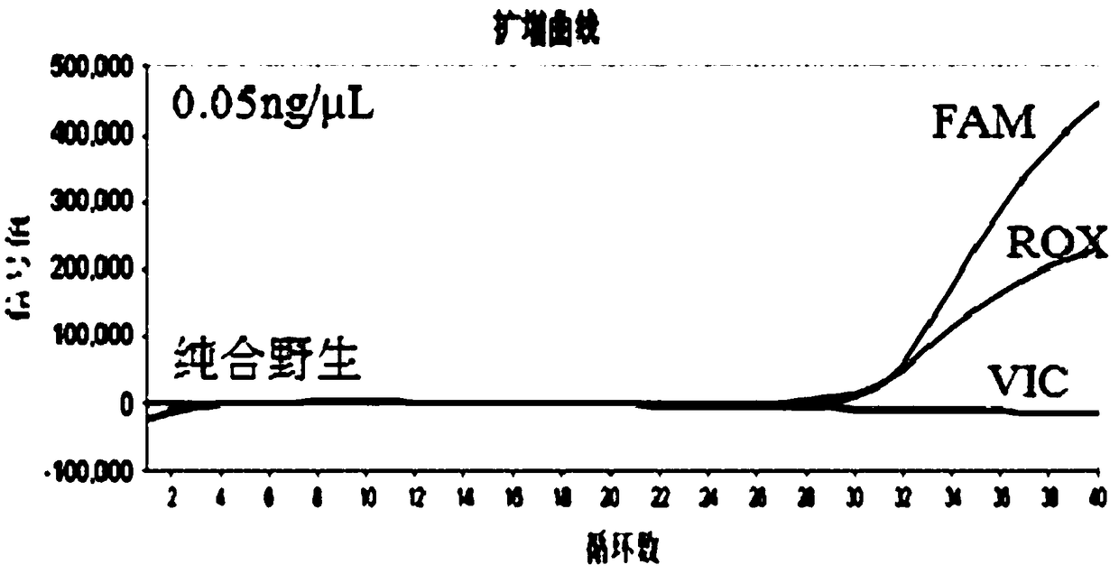 Product for detecting polymorphism of CYP3A5 gene and detection method and application of product