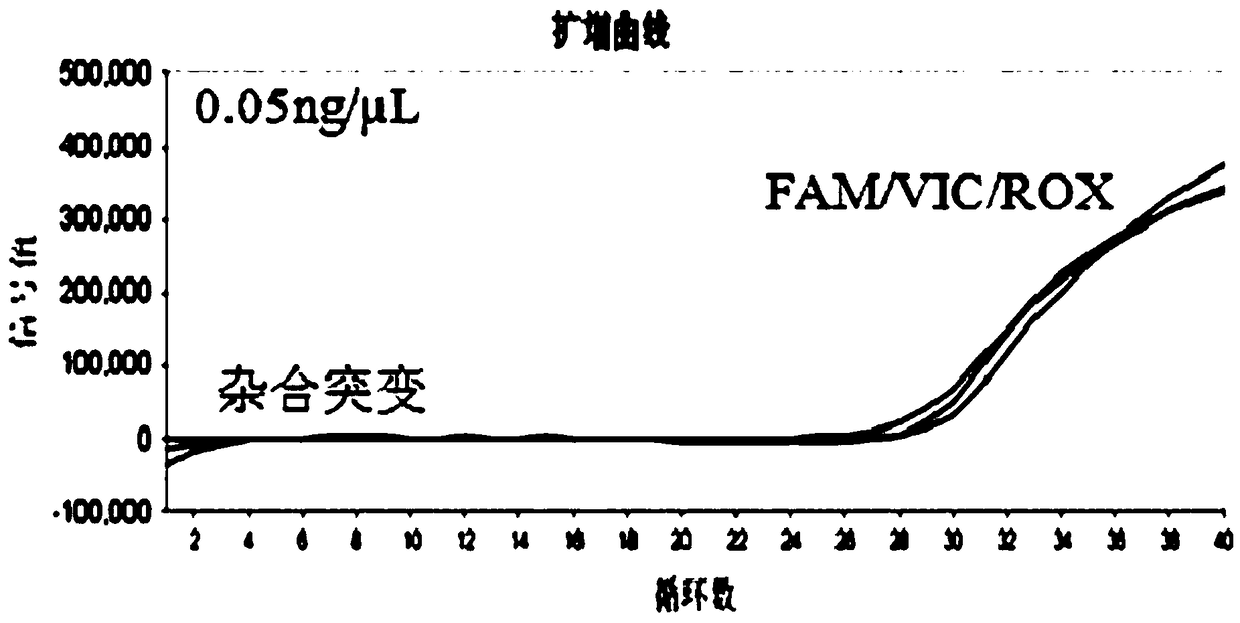 Product for detecting polymorphism of CYP3A5 gene and detection method and application of product