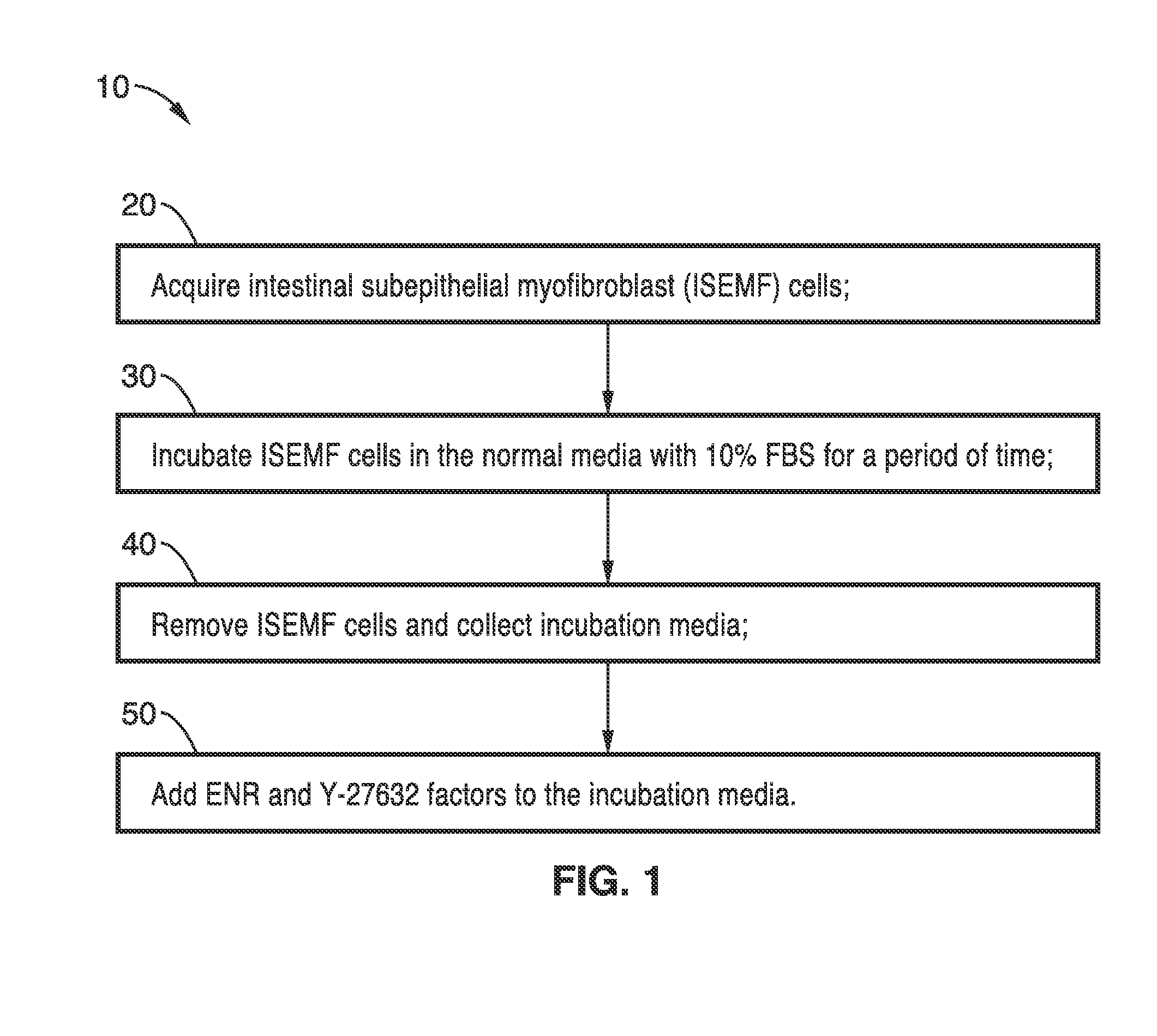 Method to expand and transduce cultured human small and large intestinal stem cells