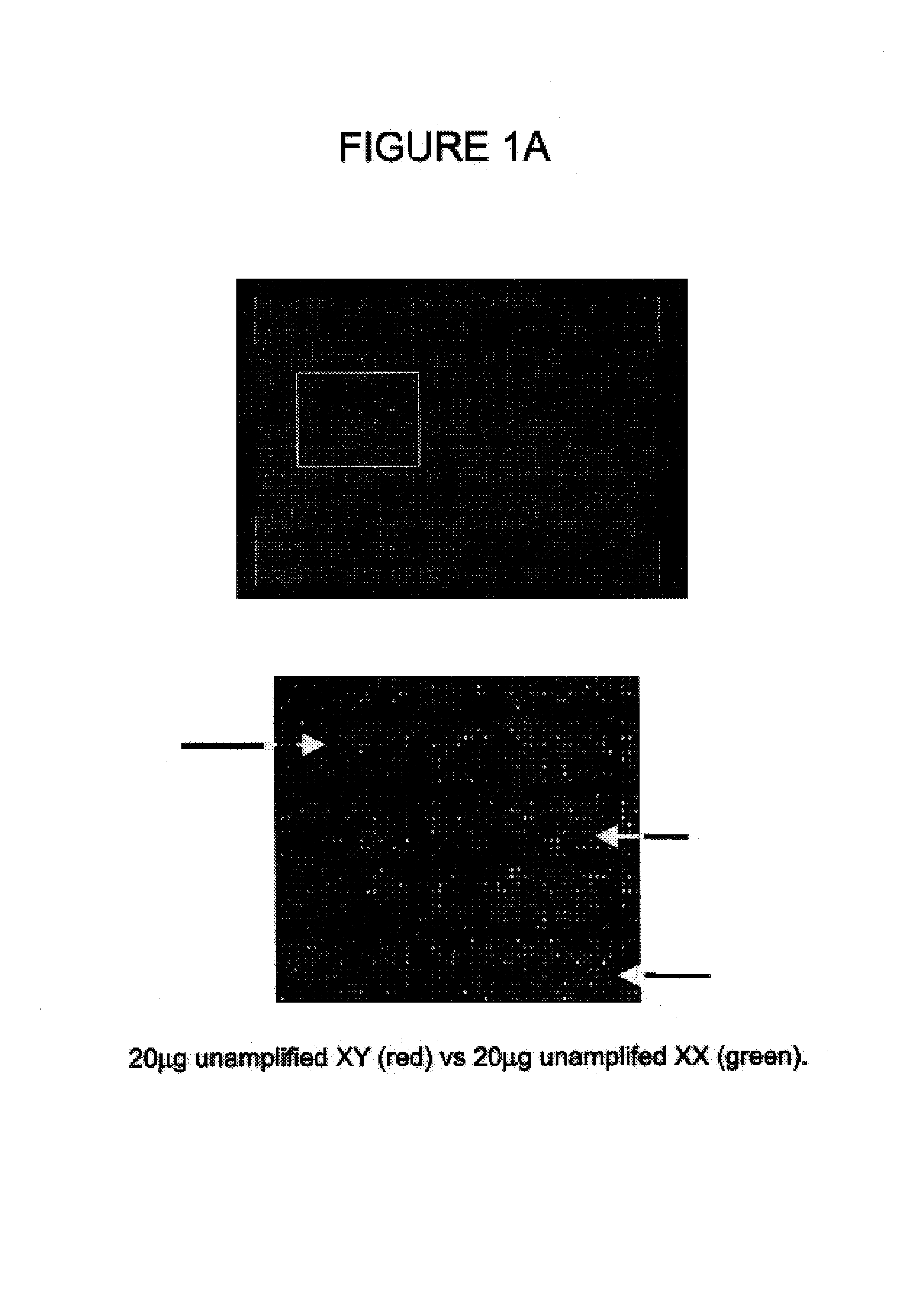 Comparative genomic hybridization assays using immobilized oligonucleotide targets with initially small sample sizes and compositions for practicing the same