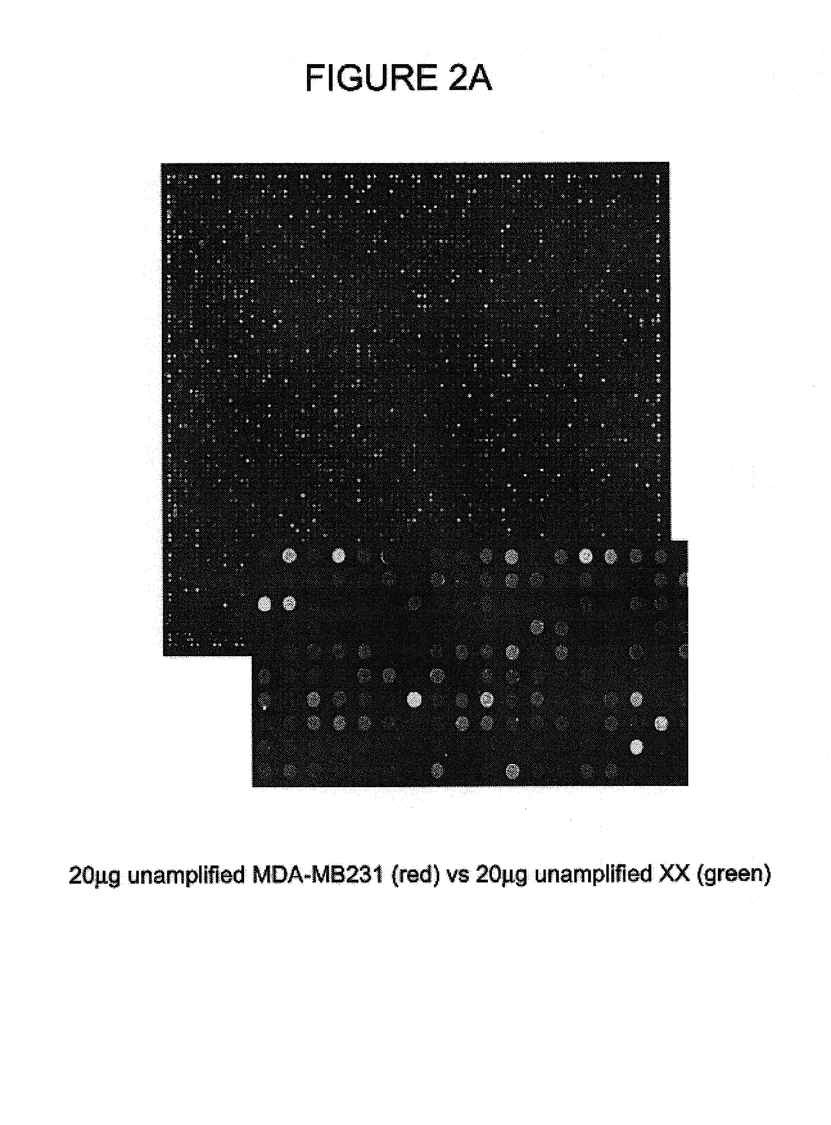 Comparative genomic hybridization assays using immobilized oligonucleotide targets with initially small sample sizes and compositions for practicing the same