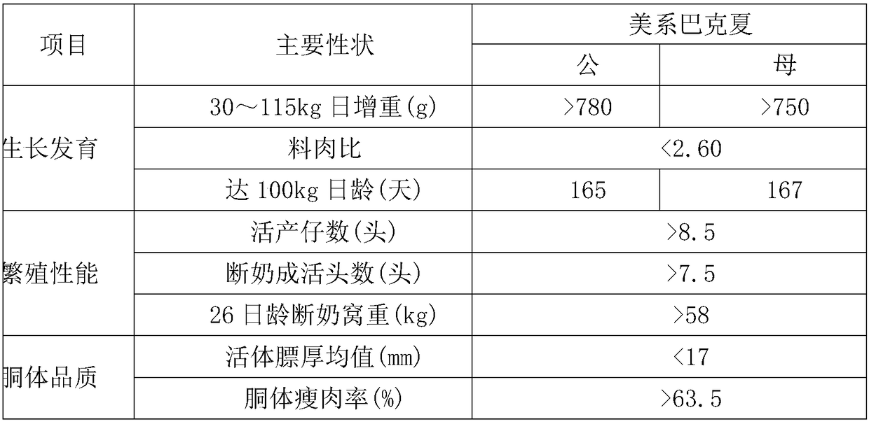 Berkshire pig breeding method