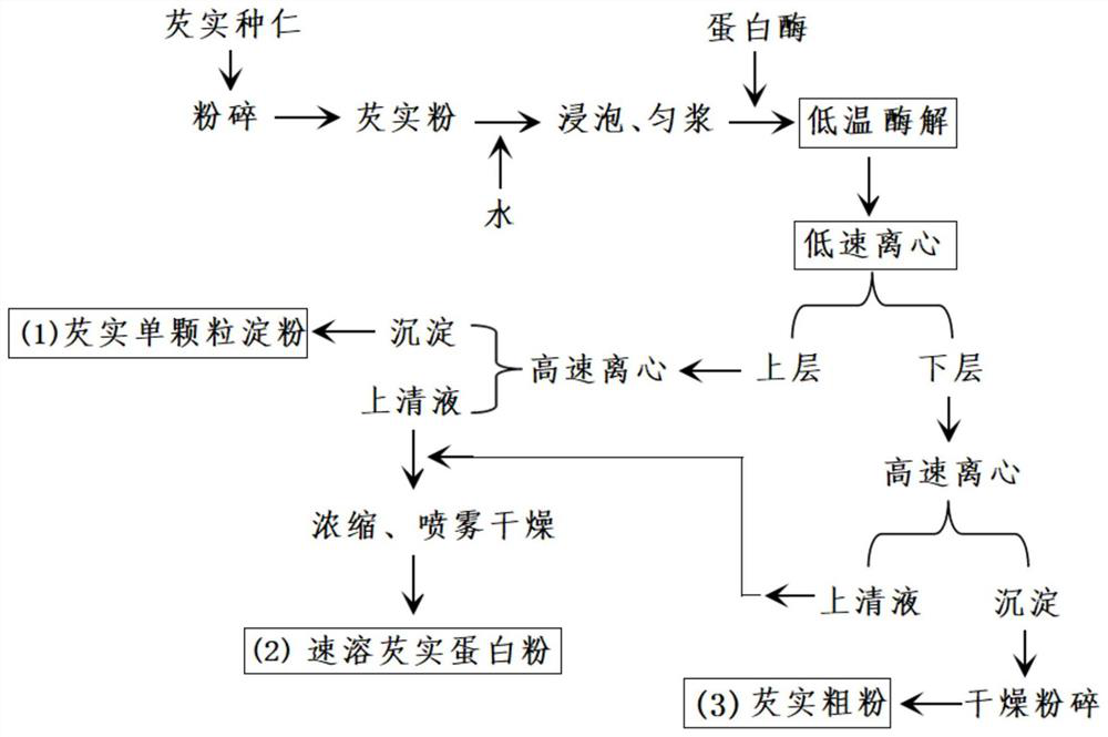 A kind of enzymatic synchronous processing method of single granule gorgon starch and related products