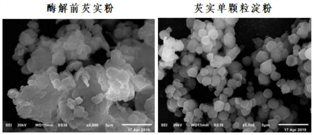 A kind of enzymatic synchronous processing method of single granule gorgon starch and related products