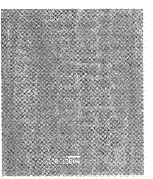 Vacuum/gas shield electroslag remelting continuous directional solidification device and method