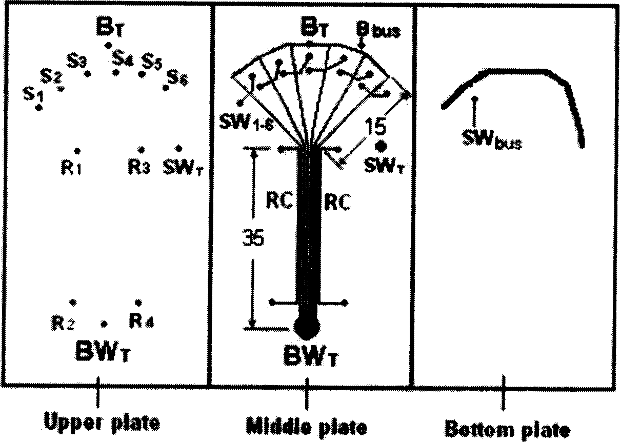 Ngatively pressurized sampling three-dimensional chip capillary array electrophoresis system