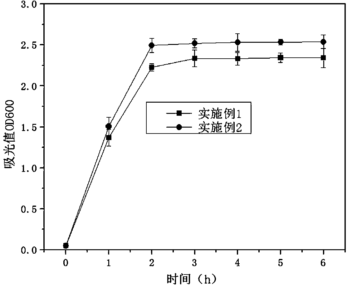 Bifidobacterium longum microcapsule and preparation method thereof