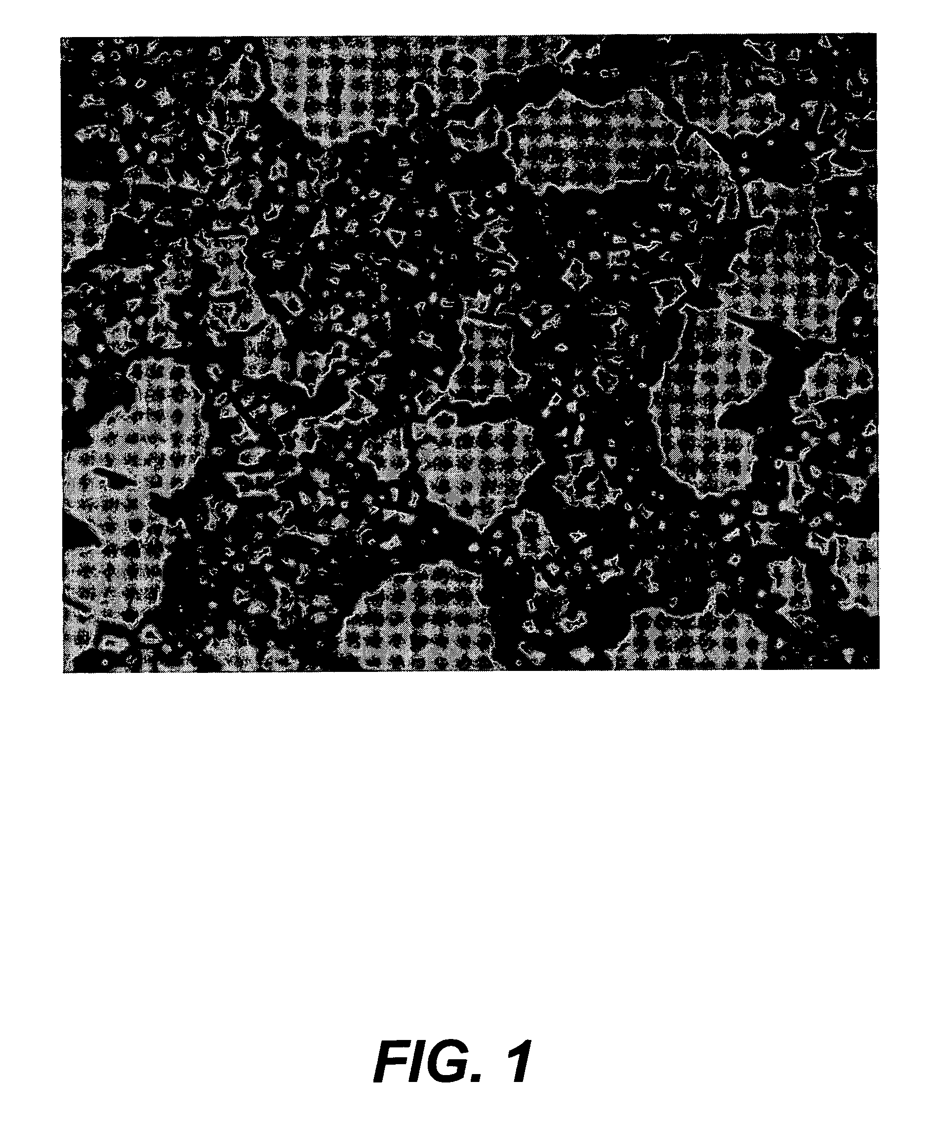 Purification of fluids with nanomaterials