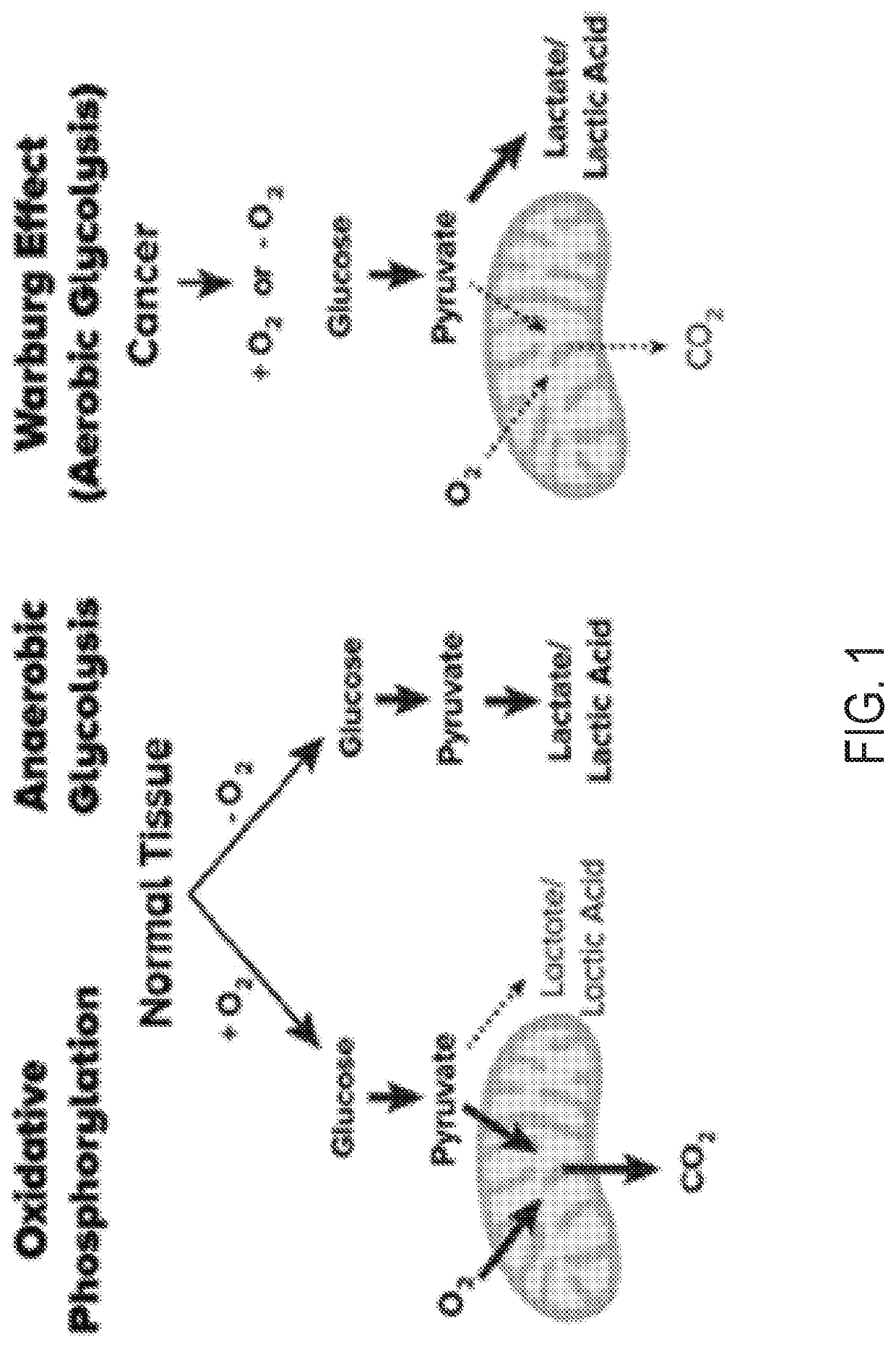 Simultaneous ph and oxygen weighted MRI contrast using multi-echo chemical exchange saturation transfer imaging (me-cest)