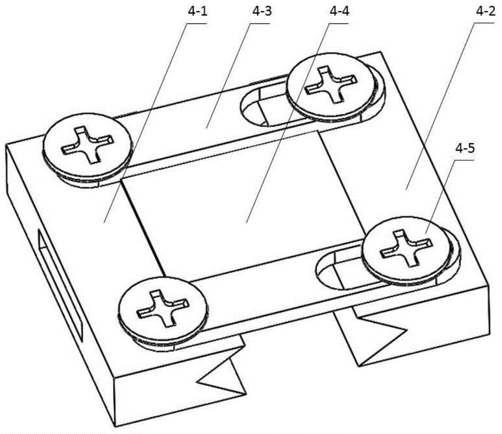 A fixed observation device for live imaging of animal spinal cord