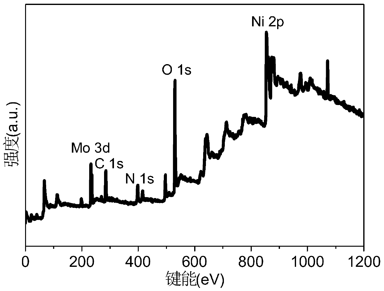 Molybdenum carbide/foamed nickel composite material, preparation method, and application thereof in electrocatalytic oxygen evolution