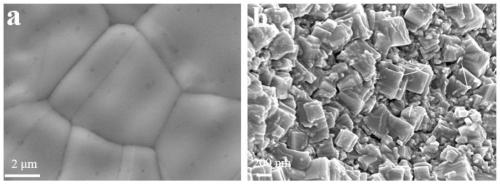 Molybdenum carbide/foamed nickel composite material, preparation method, and application thereof in electrocatalytic oxygen evolution