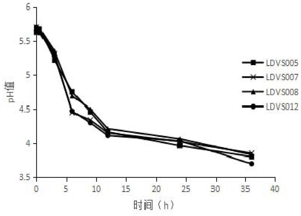 Lactobacillus plantarum strain LDVS007 and application thereof