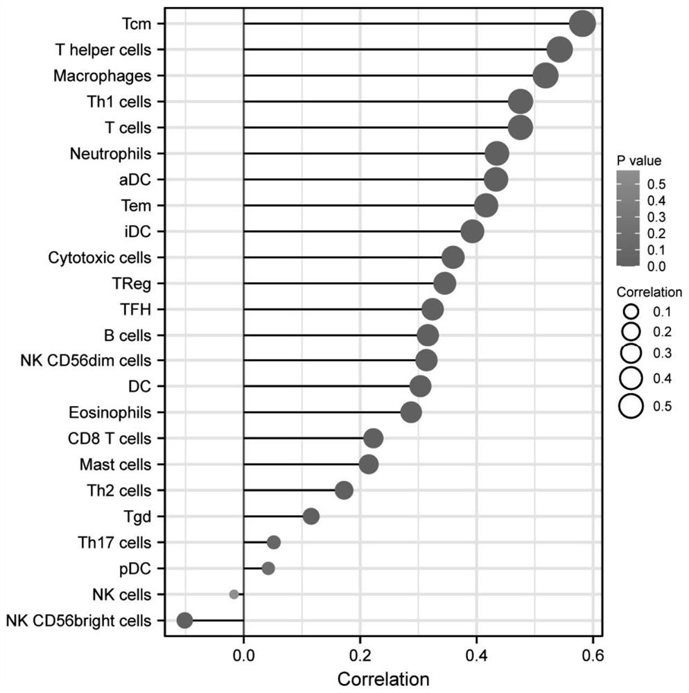 Detection kit for breast cancer assisted immunotherapy target gene MARCHF1 and application