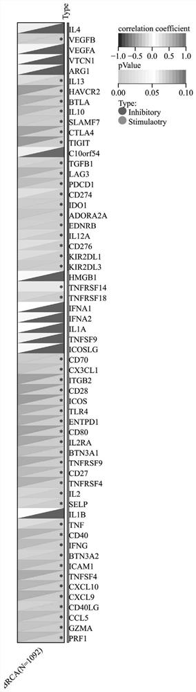 Detection kit for breast cancer assisted immunotherapy target gene MARCHF1 and application