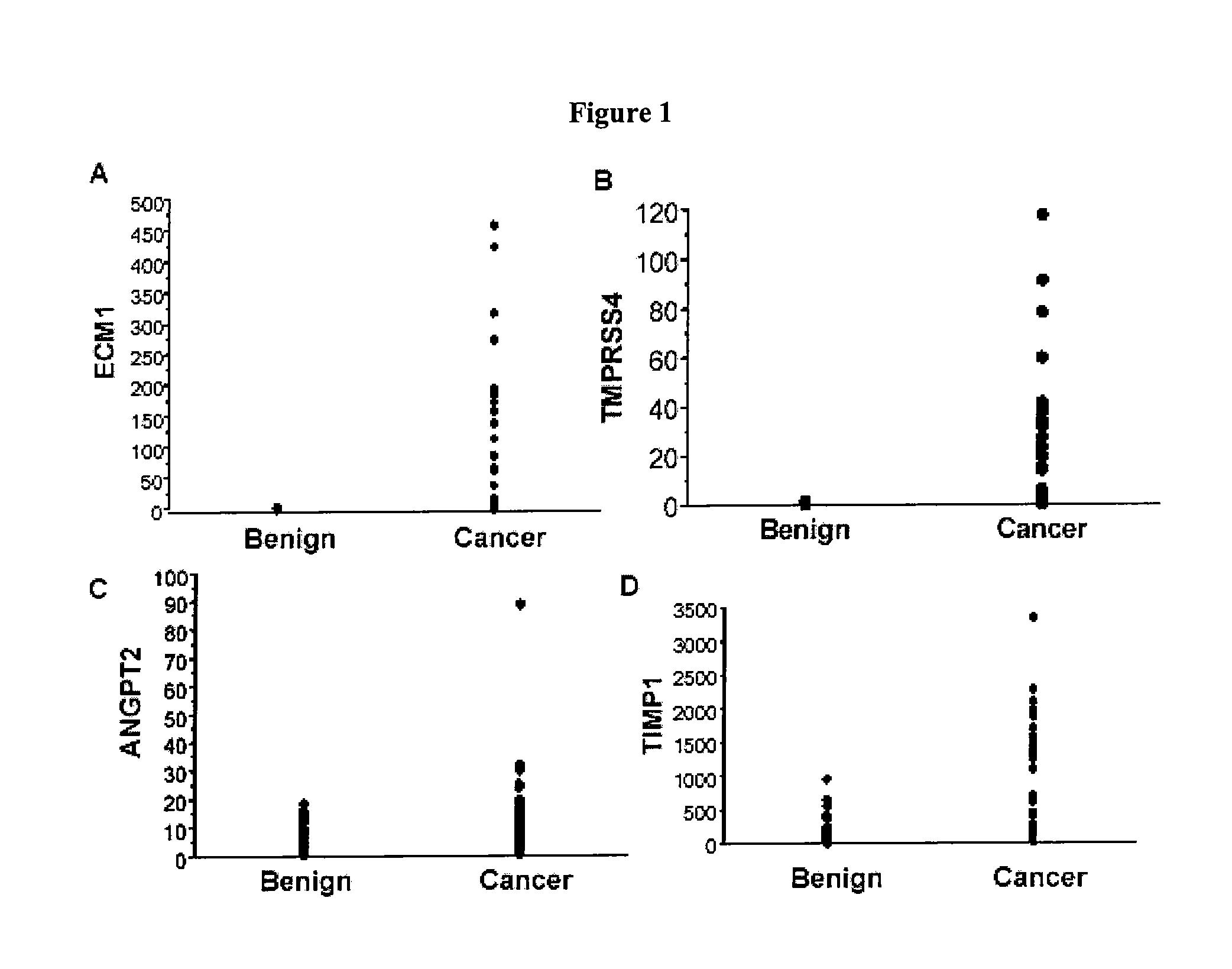 Multigene diagnostic assay for malignant thyroid neoplasm