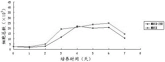 Non-tumorigenic mdck cell line and screening method for amplifying influenza virus