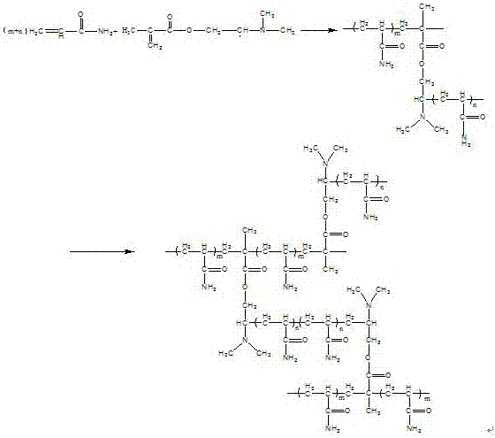 Preparation method of micro-branched micro-crosslinked polyacrylamide