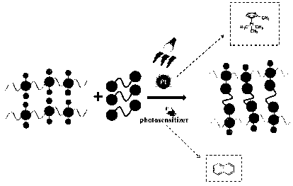 Organic silicone elastomer synthesized by means of ultraviolet light catalysis hydrosilylation and preparation method thereof