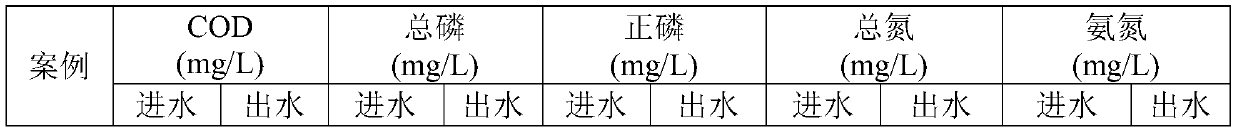 Bypass flow type biological phosphorus removal process