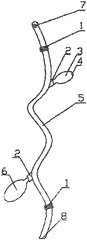 Sputum suction pipe