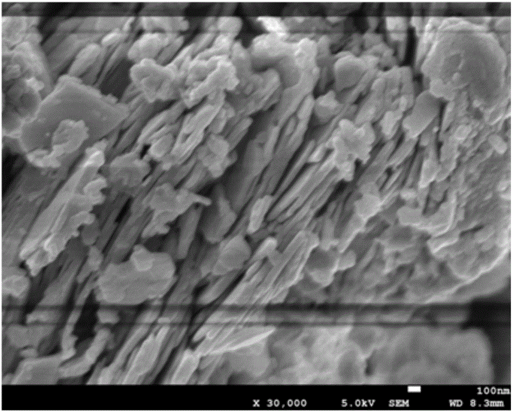 Hydrothermal preparation method of nano-ZnO cellulose composite material on basis of NaOH-urea solution and application