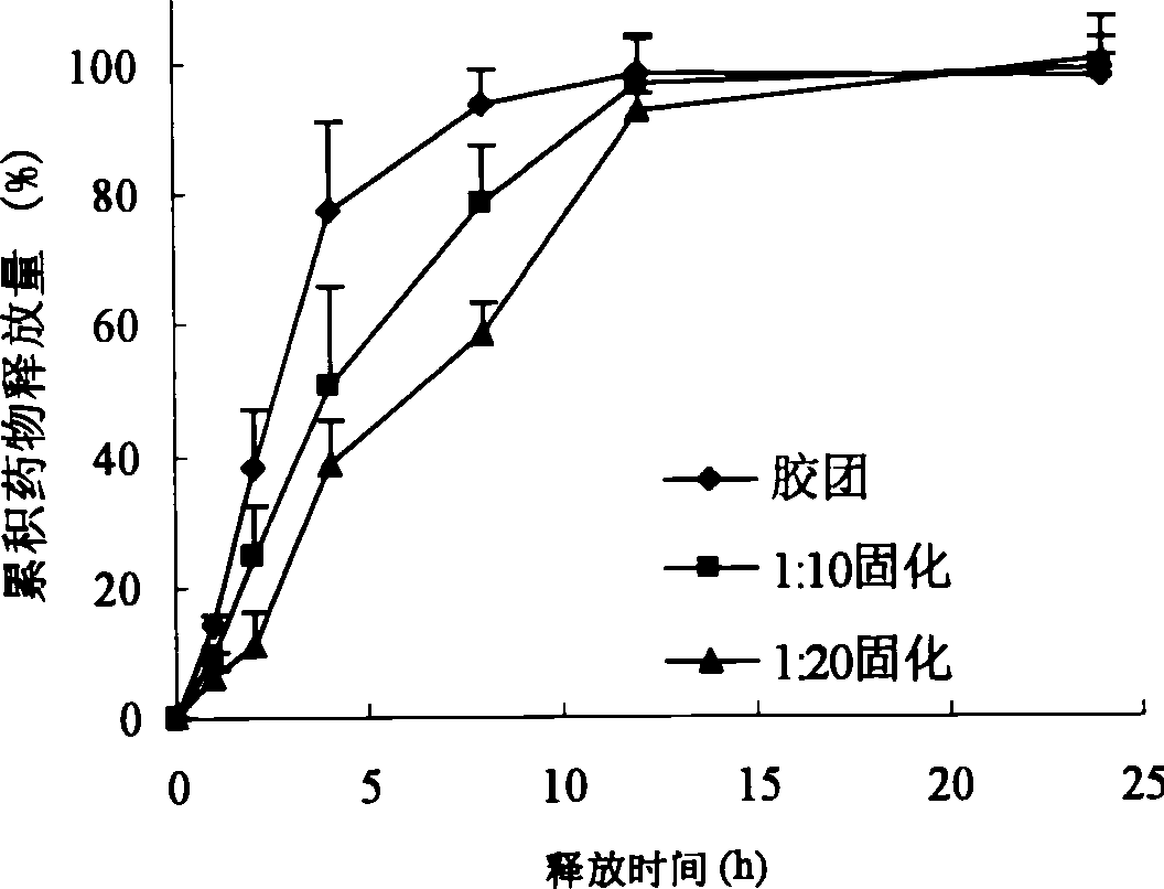 Surface-modified hydrophobically modified drug-carried chitosan polymer micelle and method for preparing same