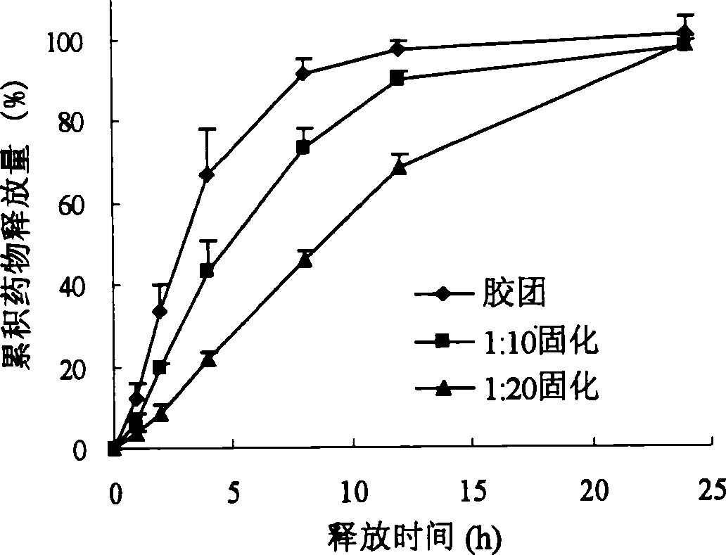 Surface-modified hydrophobically modified drug-carried chitosan polymer micelle and method for preparing same