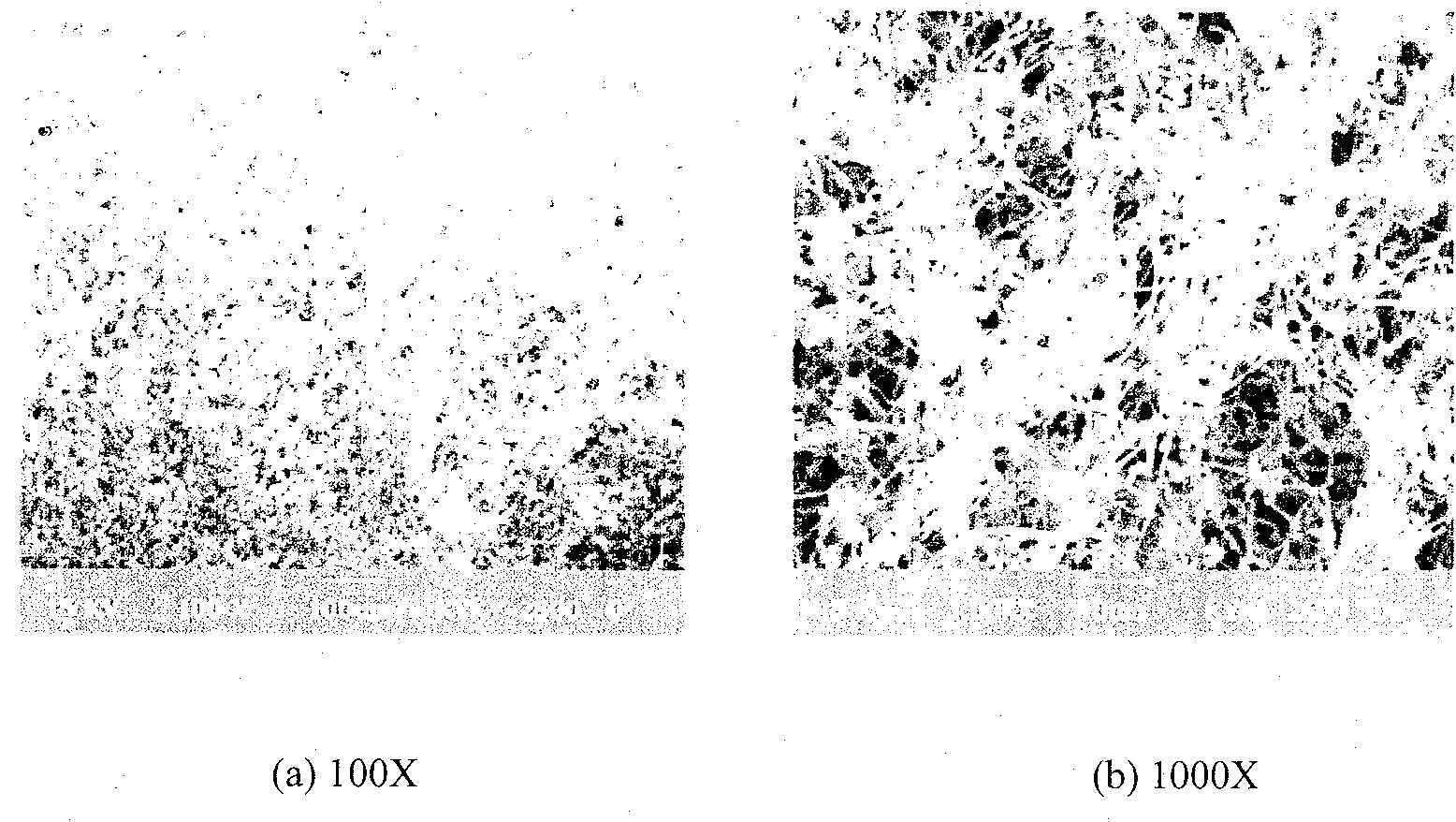 Organism single layer protecting metal-group foam material, and its preparing method