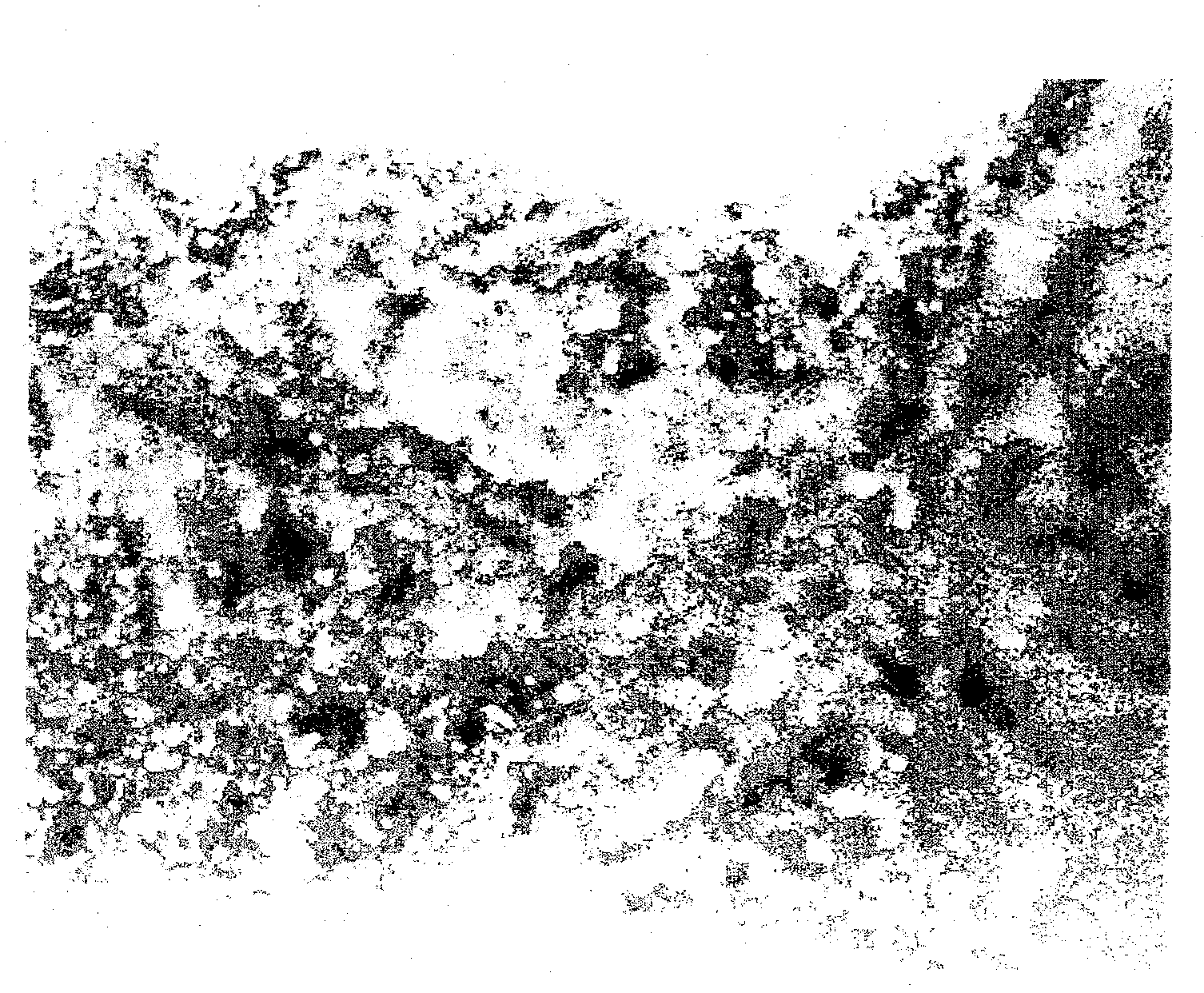 Organism single layer protecting metal-group foam material, and its preparing method