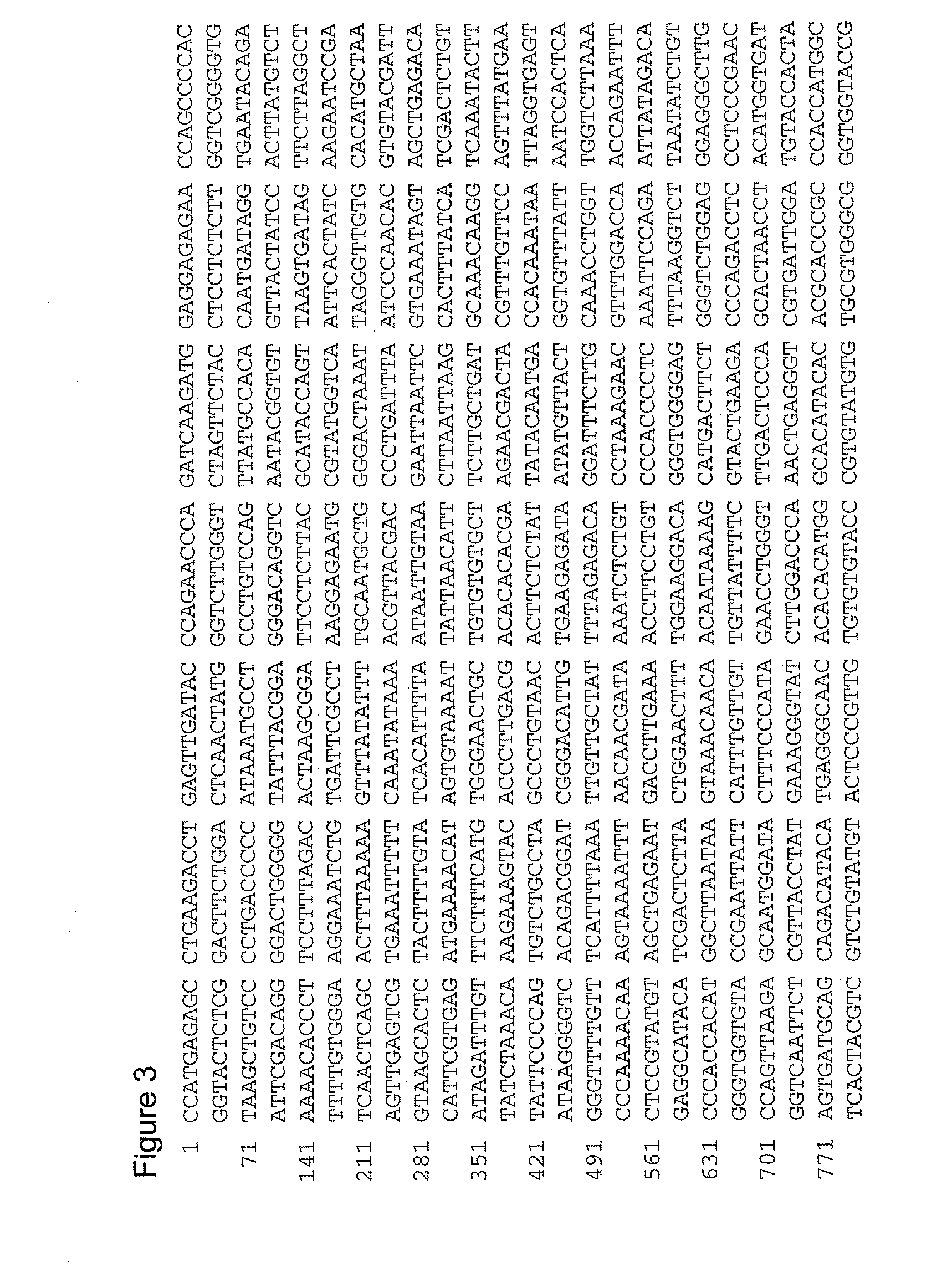 Regulatory nucleic acid elements