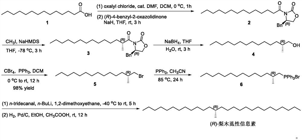 Method for synthesizing (R)-cacopsylla pyricola sex pheromone