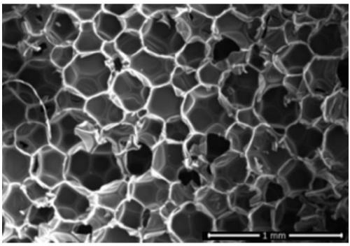 Foaming agent containing orthoformic acid alcohol amine salt and carbonic acid alcohol amine salt and application to polyurethane continuous board foam material