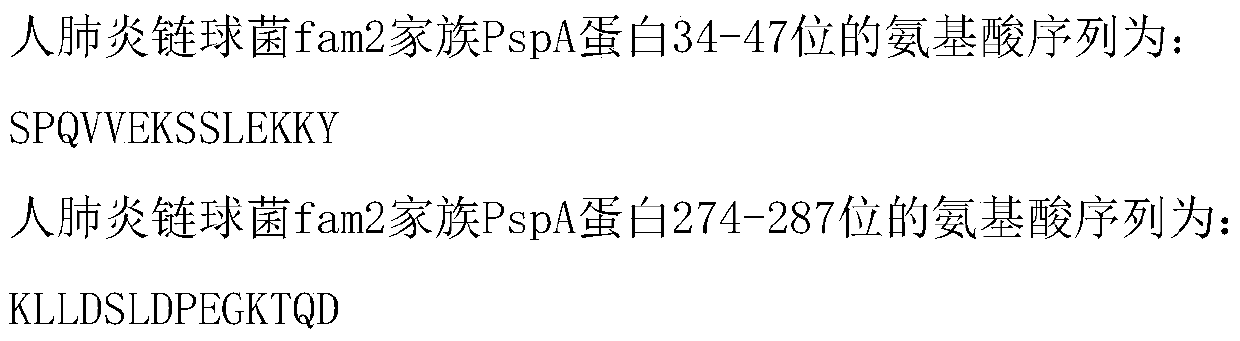 Anti-human Streptococcus pneumoniae fam2 family pspa protein antibody and immunochromatographic kit using the antibody