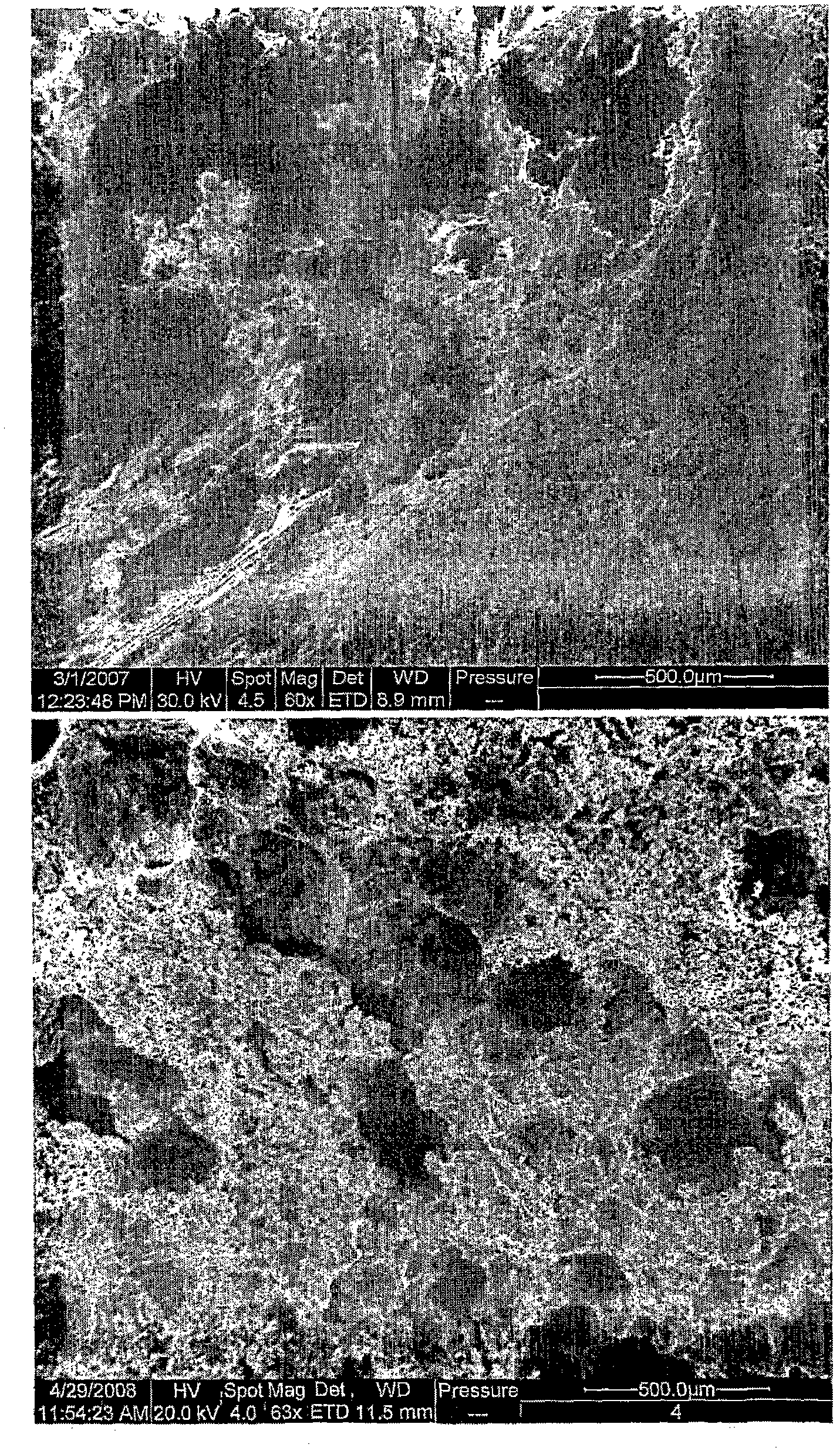 Process for making gastroretentive dosage forms