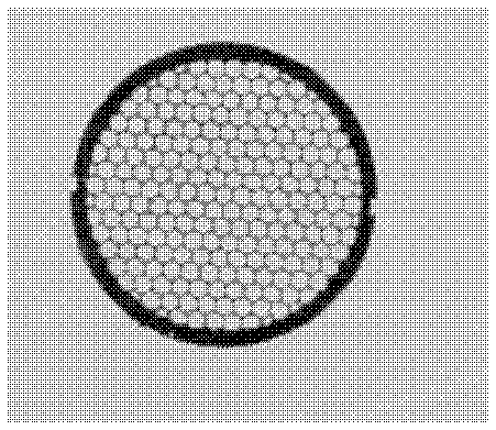 Molybdenum foil mesh for transmission microscope and scanning microscope and method of making the same