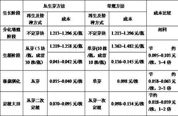 Method for reducing tissue culture production cost of hosta plantagineu