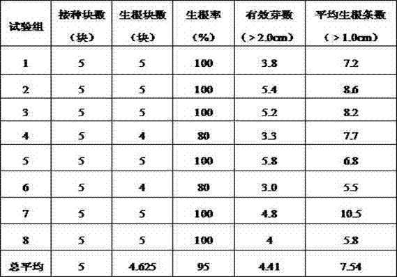 Method for reducing tissue culture production cost of hosta plantagineu