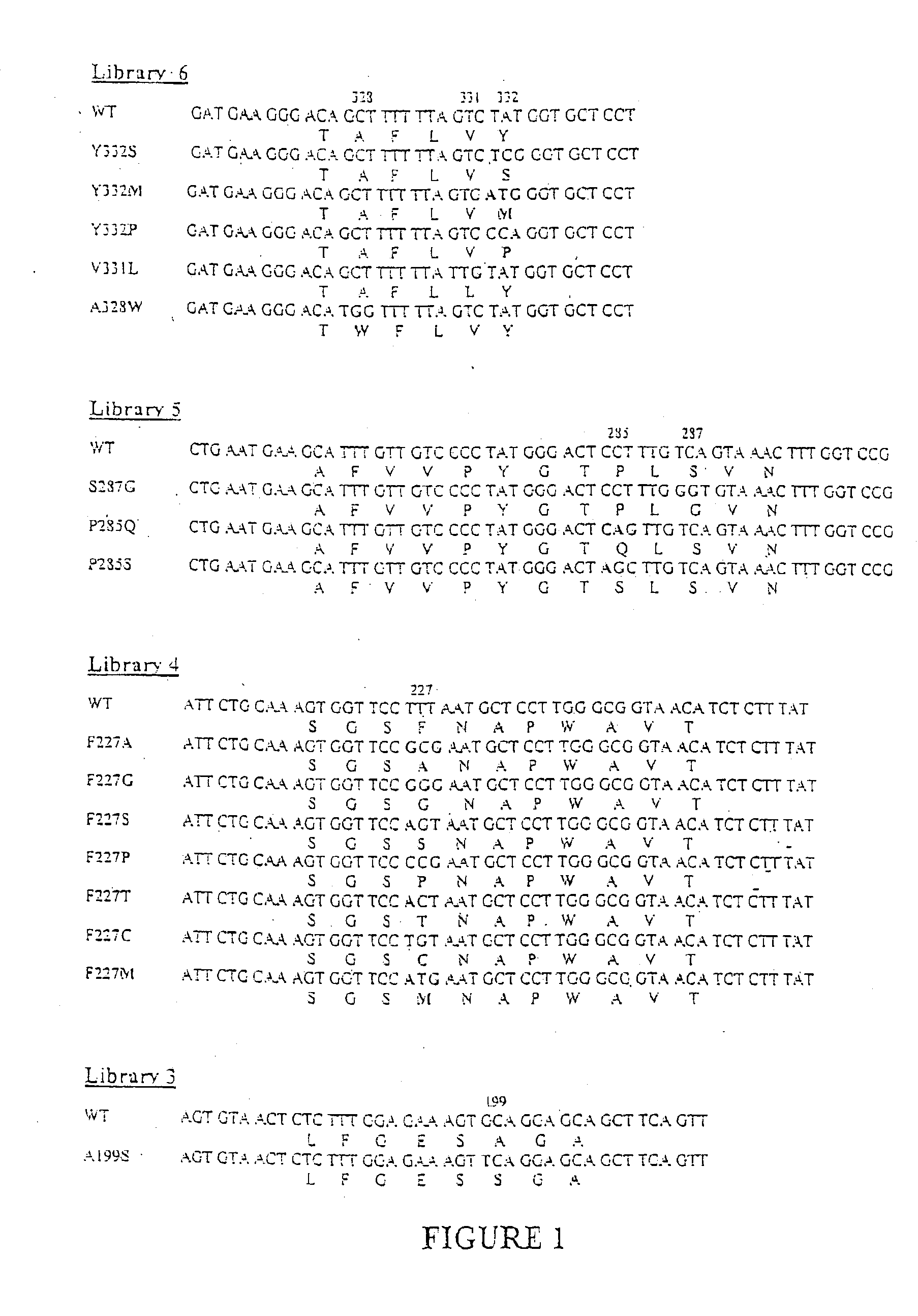 Butyrylcholinesterase variant polypeptides with increased catalytic efficiency and methods of use