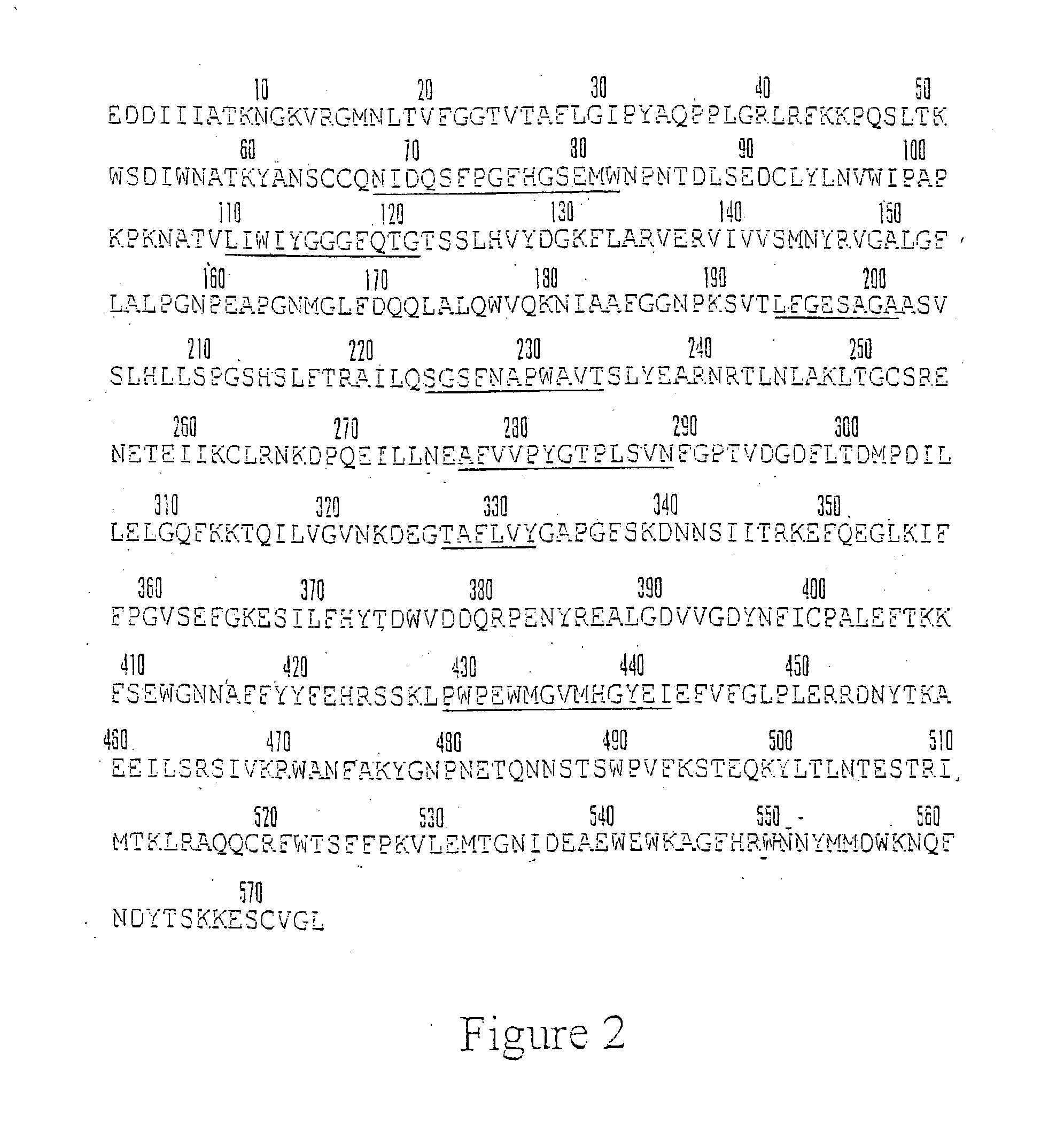 Butyrylcholinesterase variant polypeptides with increased catalytic efficiency and methods of use