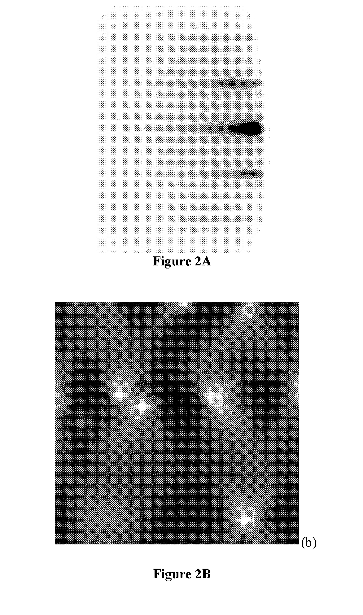 System and Method for Increasing III-Nitride Semiconductor Growth Rate and Reducing Damaging Ion Flux