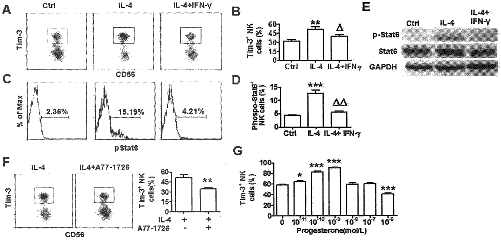 Application of Tim-3 expressing peripheral blood NK cells to preparation of spontaneous abortion biomarker