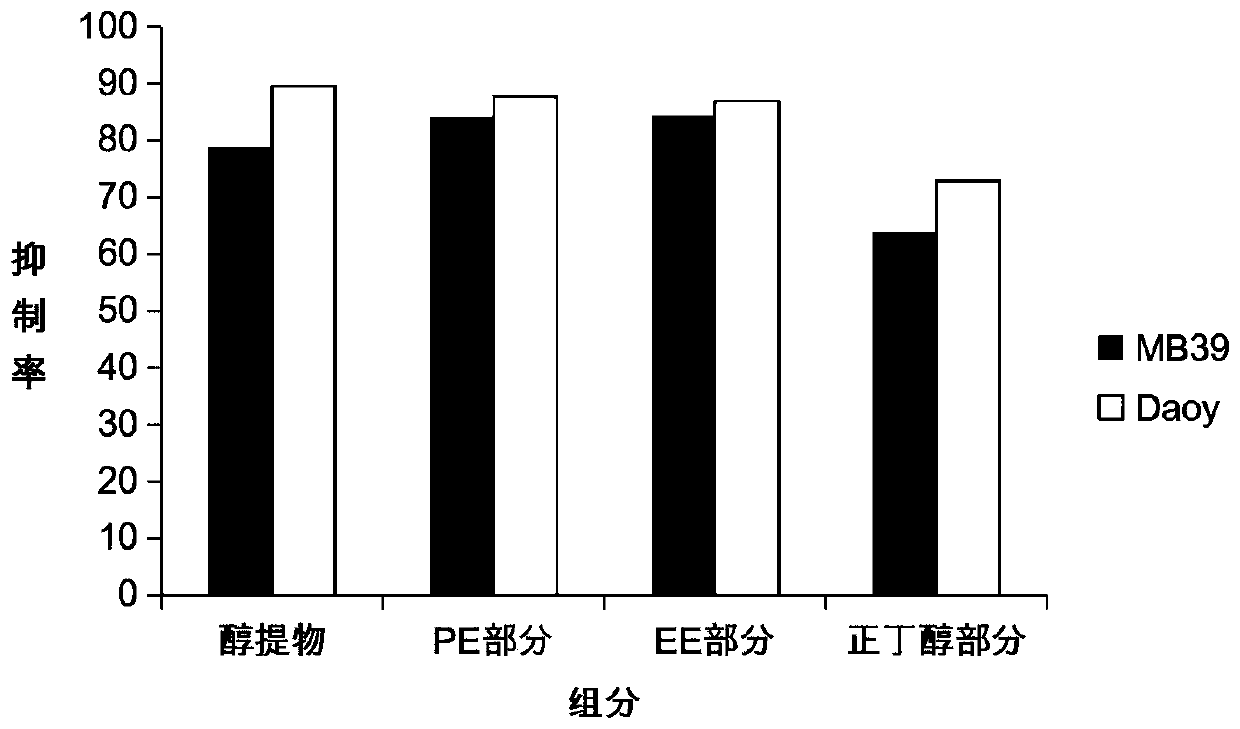 Fruit extract of eucalyptus globulus labill. and application thereof in medulloblastoma resistance