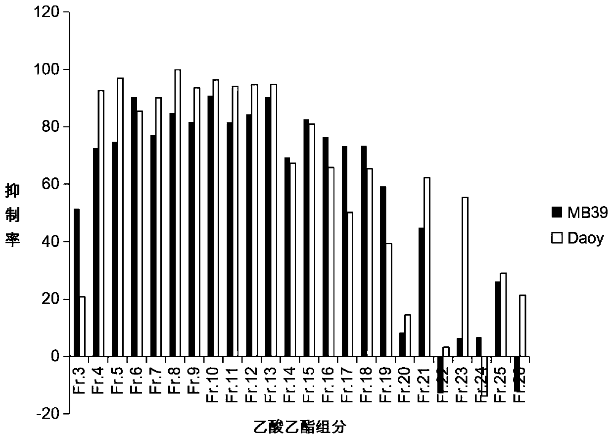 Fruit extract of eucalyptus globulus labill. and application thereof in medulloblastoma resistance