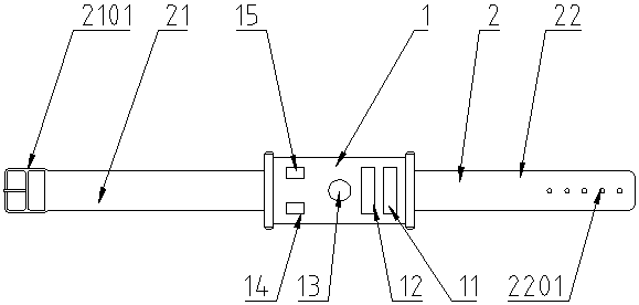 Multifunctional animal collar