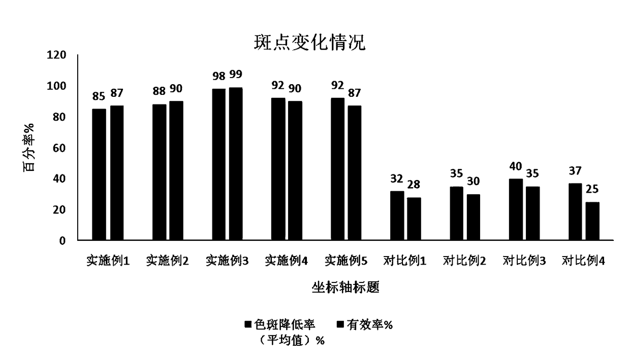 Antipollution composition and preparation method thereof