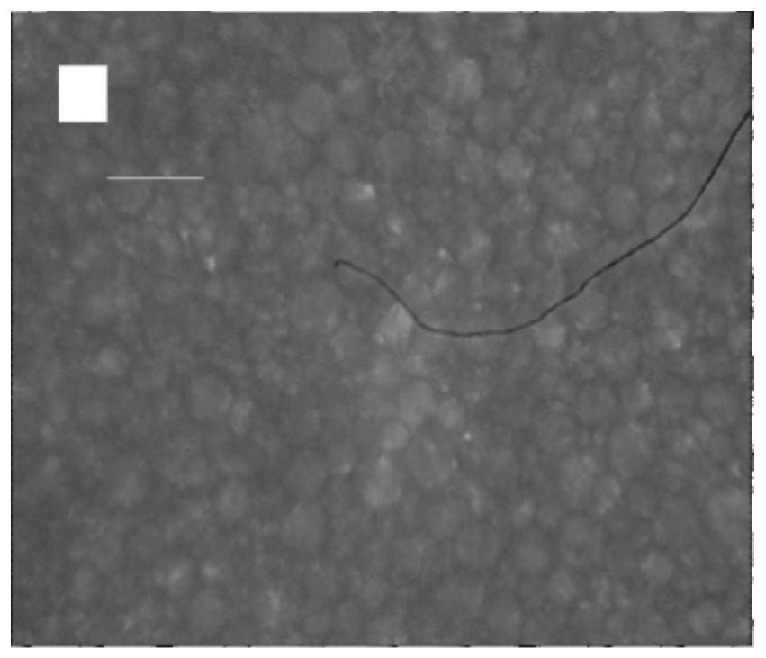 A kind of pickering emulsion and its preparation method and its application in heavy oil emulsification and viscosity reduction