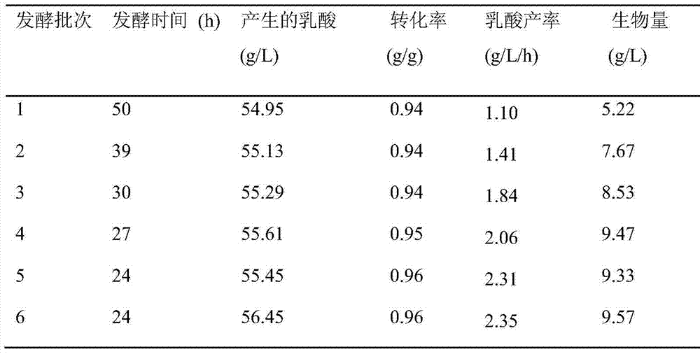 Method for producing lactic acid through continuously fermenting batches of lignocellulose hydrolysate by coupling fermenting and membrane separation