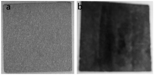 Preparation method of lithium-sulfur battery based on large-area thick film controllable texture photonic crystal