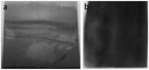 Preparation method of lithium-sulfur battery based on large-area thick film controllable texture photonic crystal